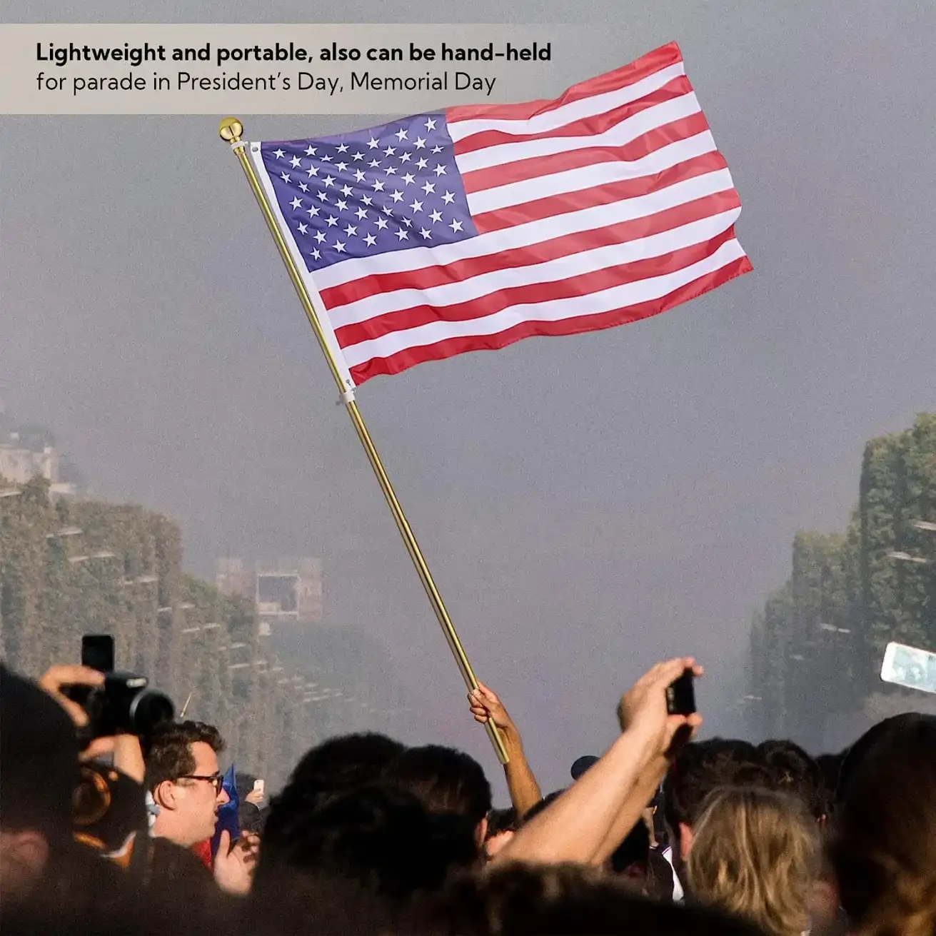Indoor and Floor Flag Standing Pole with Flag fabric - Image 5